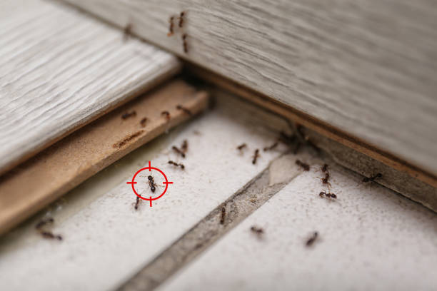 Best Pest Removal Services  in Brownlee Park, MI