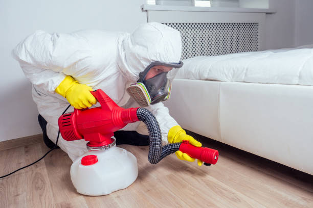 Best Mosquito Control Services  in Brownlee Park, MI