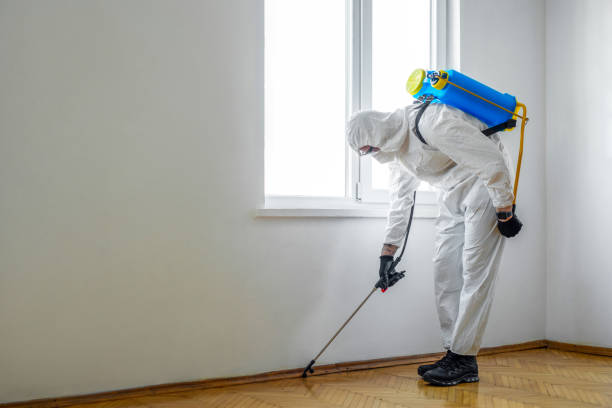 Best Wildlife Control Services  in Brownlee Park, MI