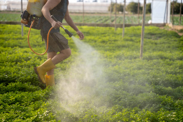 Best Pest Control Cost  in Brownlee Park, MI