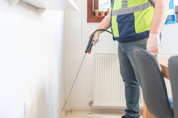 Best Rat Extermination Near Me  in Brownlee Park, MI