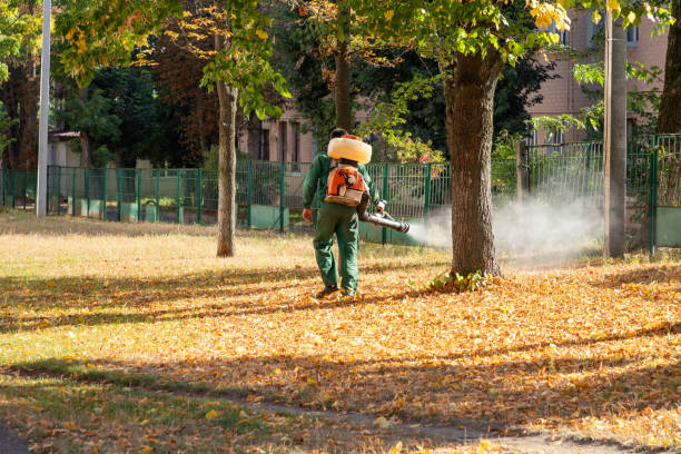 Best Pest Prevention Services  in Brownlee Park, MI