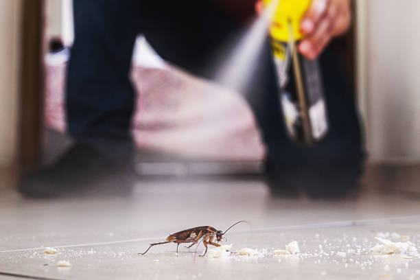 Best Rodent Control Near Me  in Brownlee Park, MI