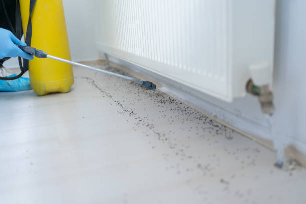 Best Best Pest Control Companies  in Brownlee Park, MI