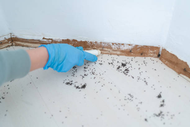 Pest Control Cost in Brownlee Park, MI
